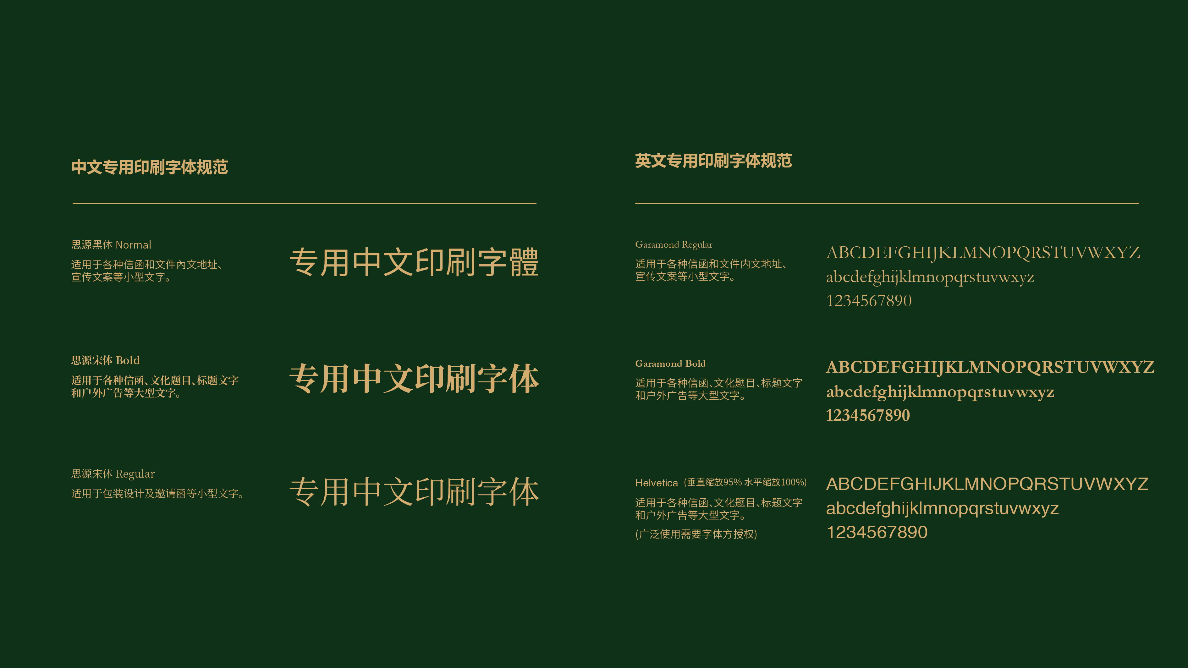 vi_画板 1 副本.jpg