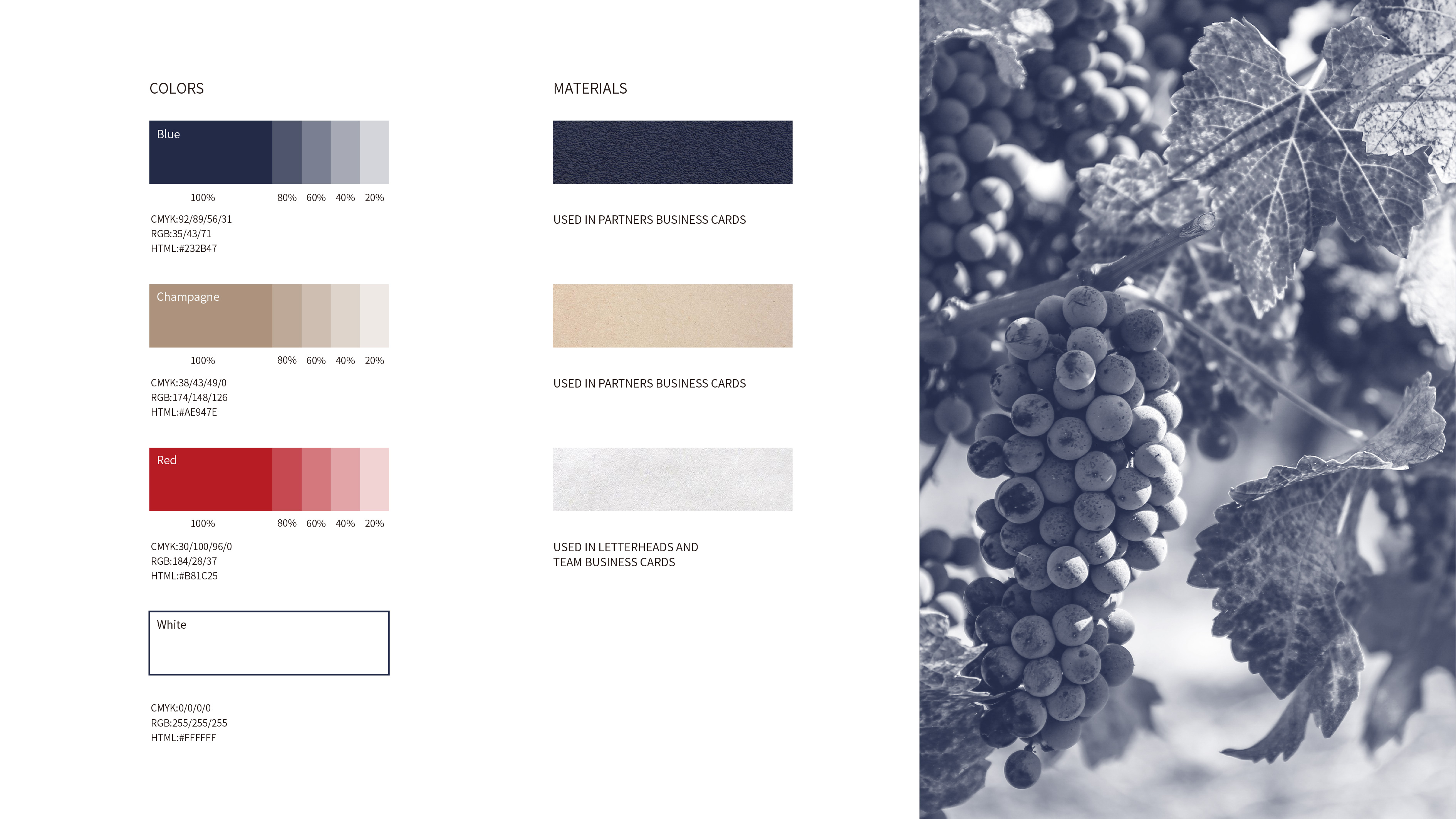 VI基础_画板 1.jpg